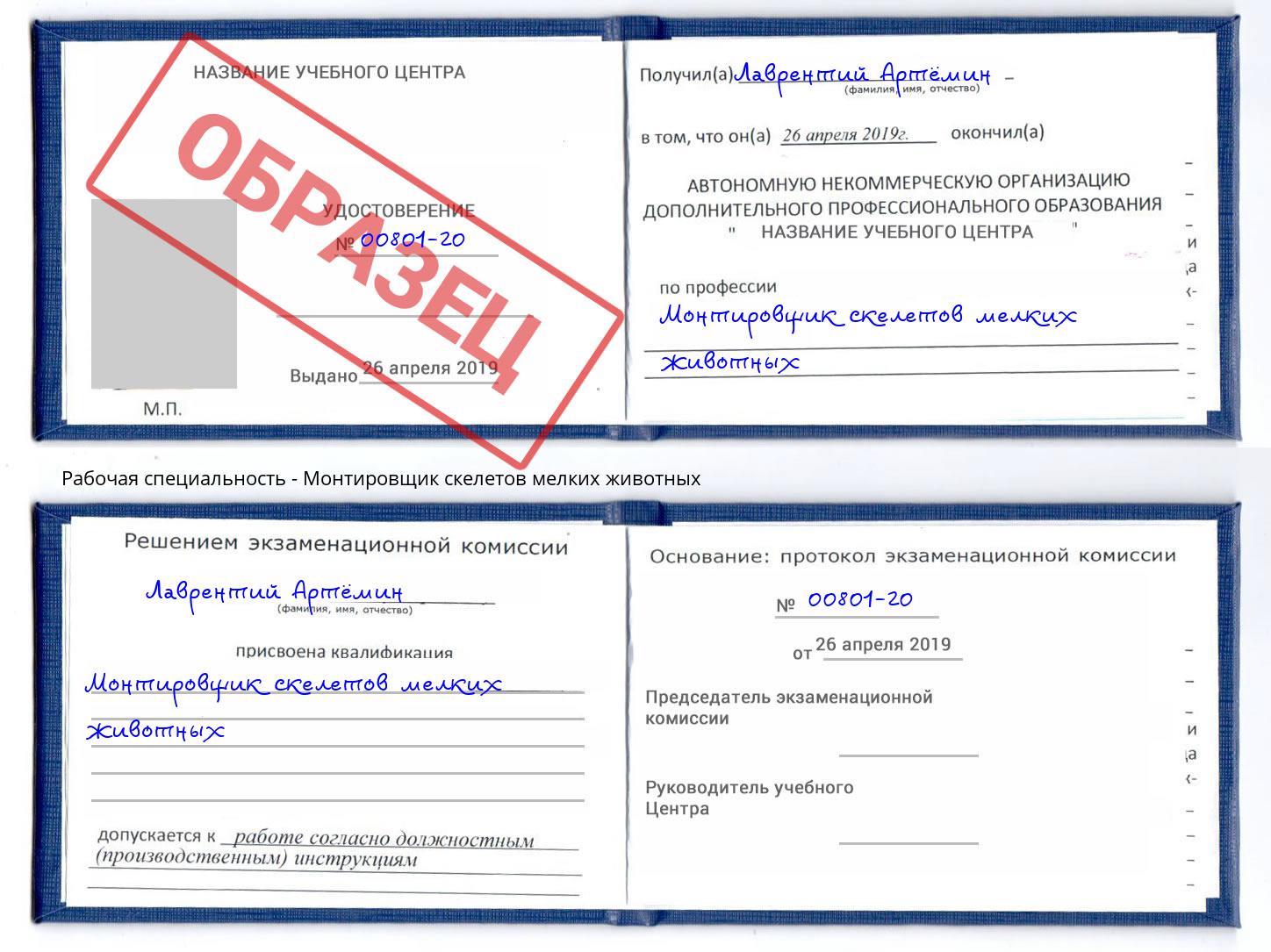 Монтировщик скелетов мелких животных Михайловка