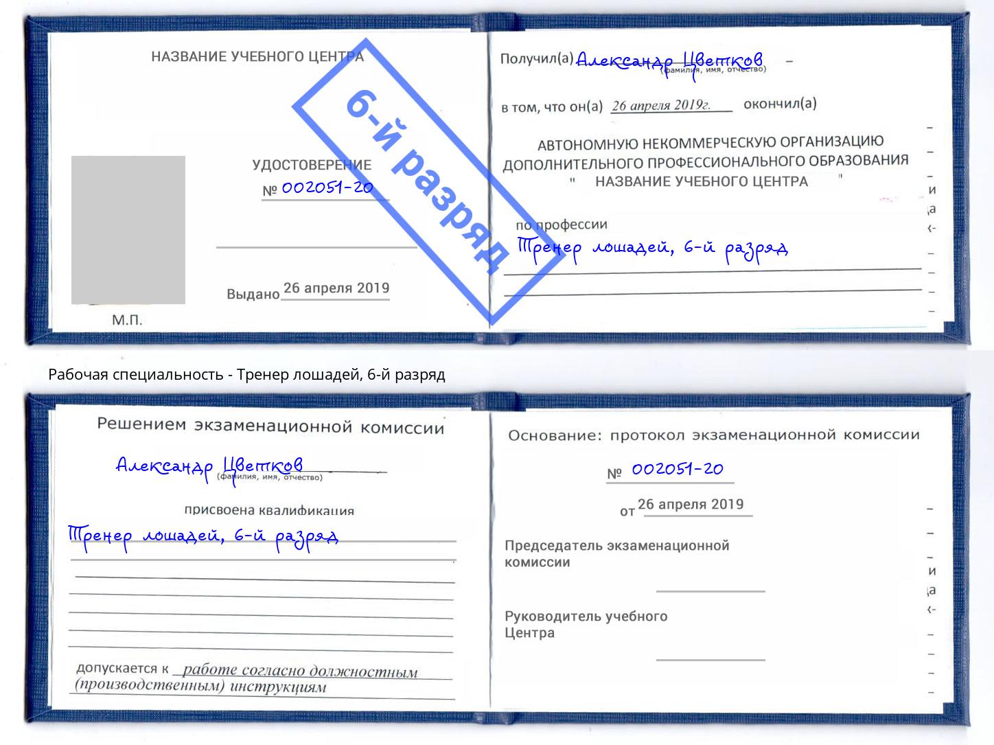 корочка 6-й разряд Тренер лошадей Михайловка