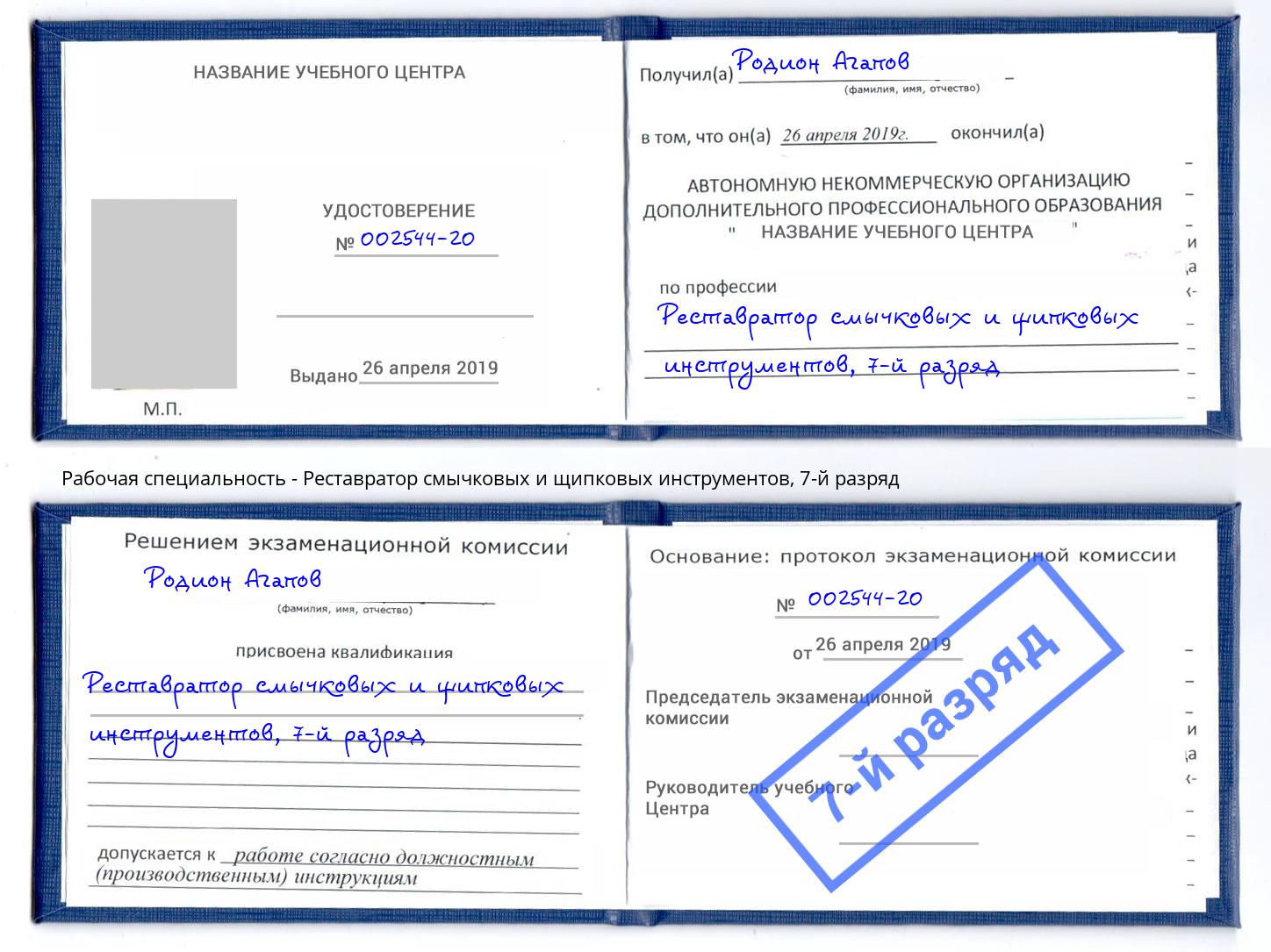 корочка 7-й разряд Реставратор смычковых и щипковых инструментов Михайловка