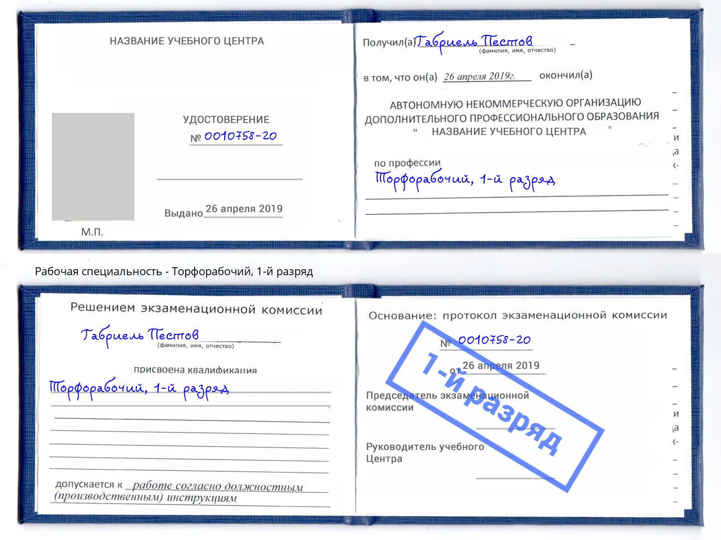 корочка 1-й разряд Торфорабочий Михайловка