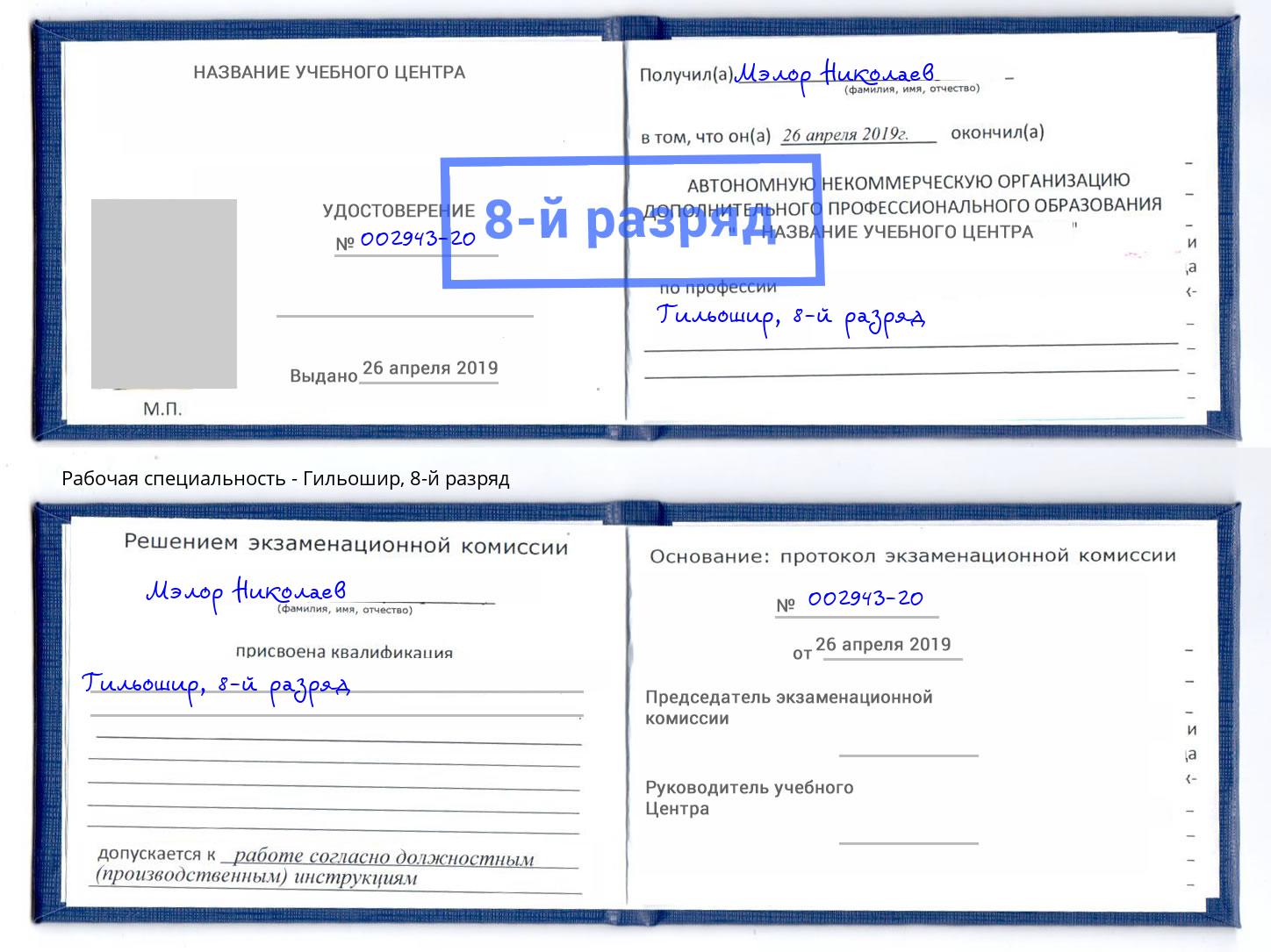 корочка 8-й разряд Гильошир Михайловка